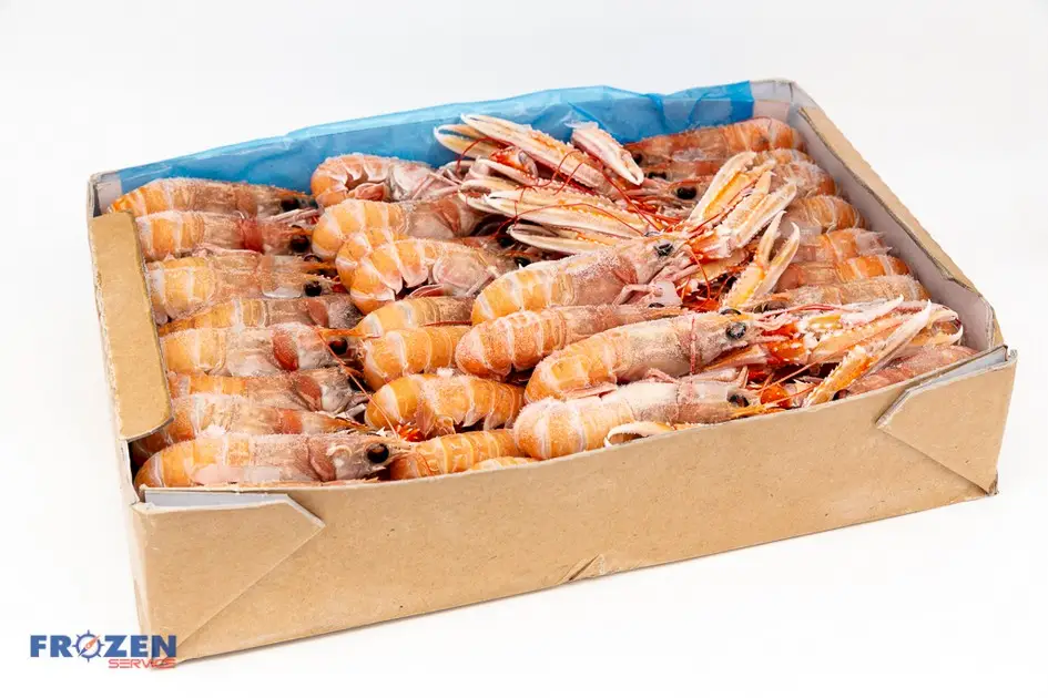 Scampi Bordo Porcupine: L’Eccellenza del Mare!