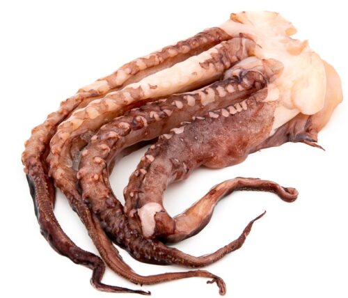 Tentacoli di Totano Giganti del Pacifico: L’Ingrediente Scenografico per i Tuoi Piatti di Mare!