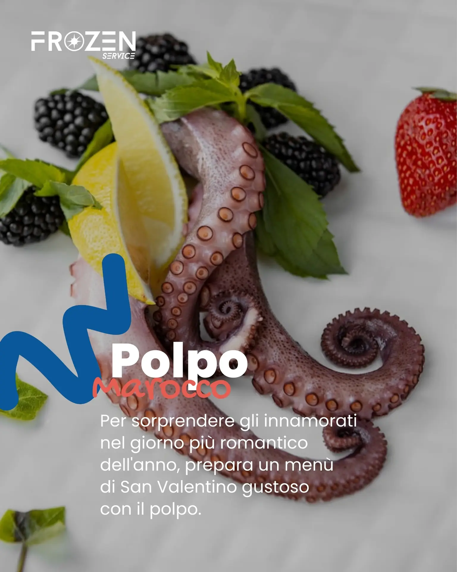 Polpo Marocco