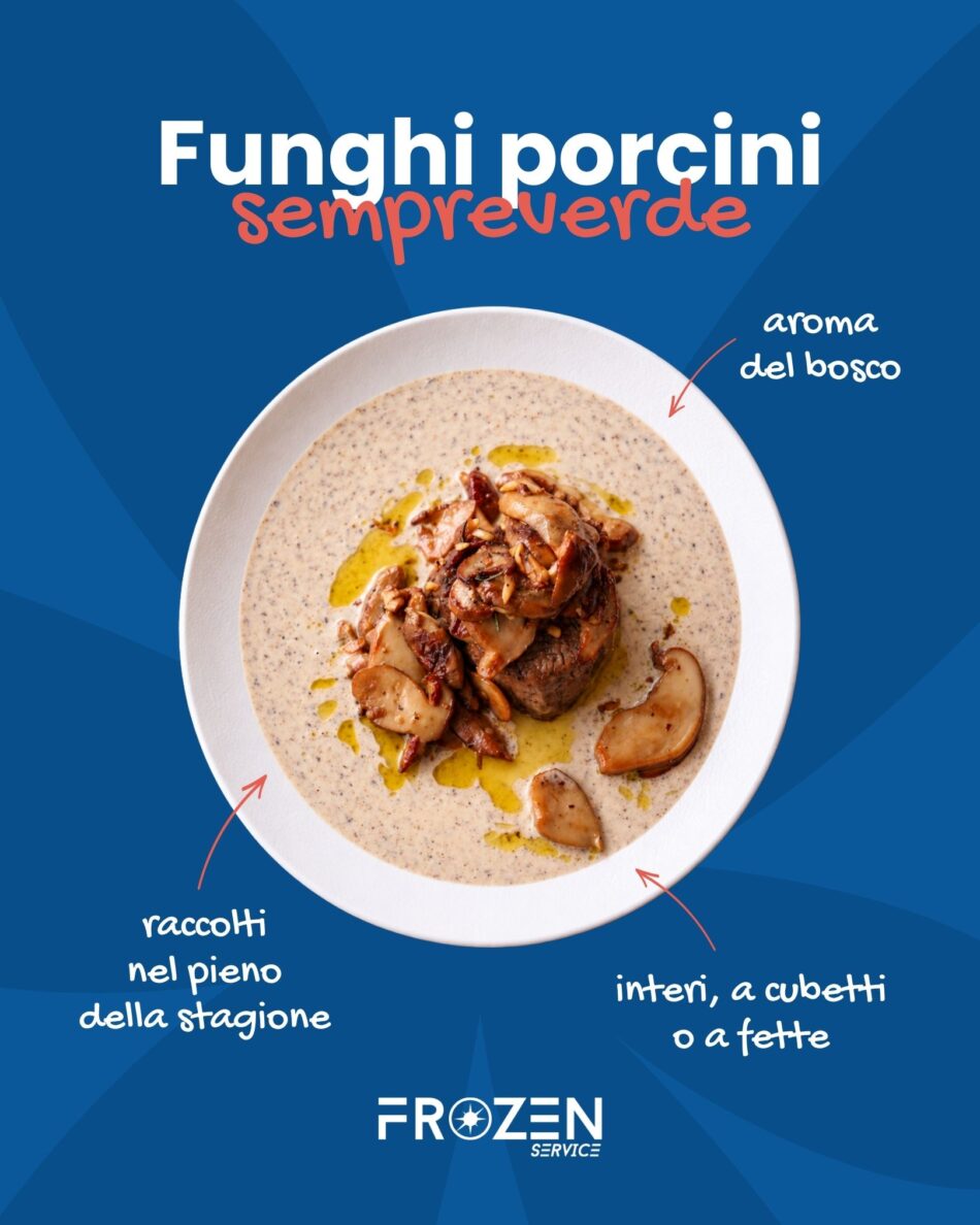Funghi Porcini Sempreverde